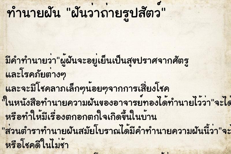 ทำนายฝัน ฝันว่าถ่ายรูปสัตว์ ทำนายฝัน ฝันว่าถ่ายรูปสัตว์