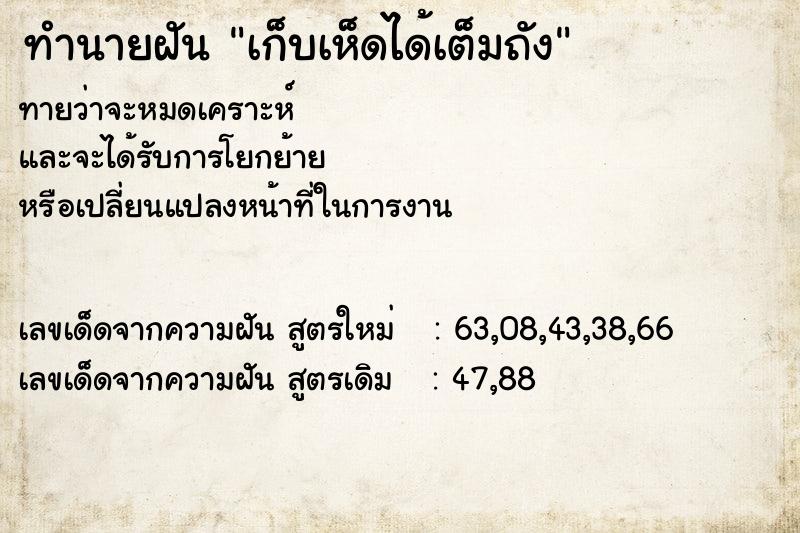 ทำนายฝัน เก็บเห็ดได้เต็มถัง ทำนายฝัน เก็บเห็ดได้เต็มถัง