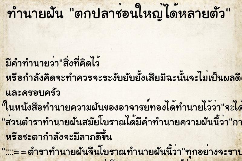 ทำนายฝันตกปลาช่อนใหญ่ได้หลายตัว ทำนายฝันทำนายฝันตกปลาช่อนใหญ่ได้หลายตัว