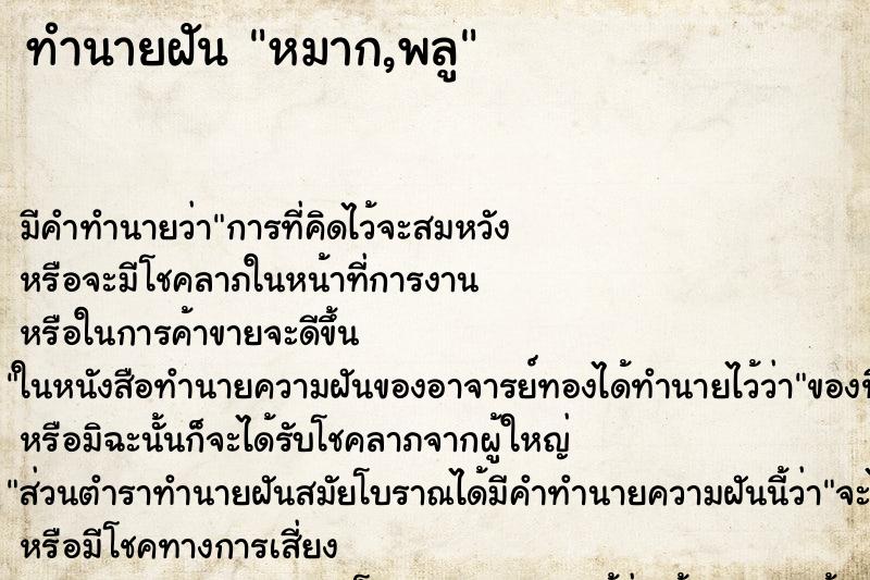 ทำนายฝันทำนายฝันหมาก,พลู
