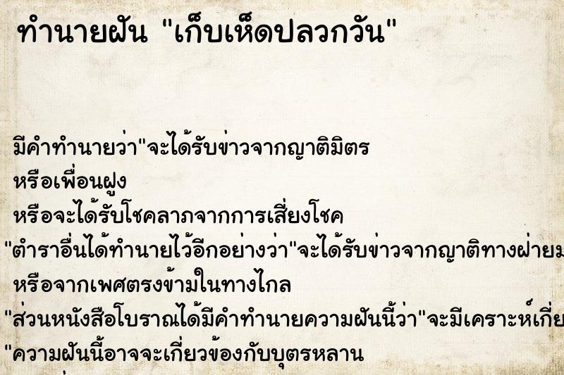 ทำนายฝัน เก็บเห็ดปลวกวัน ทำนายฝัน เก็บเห็ดปลวกวัน