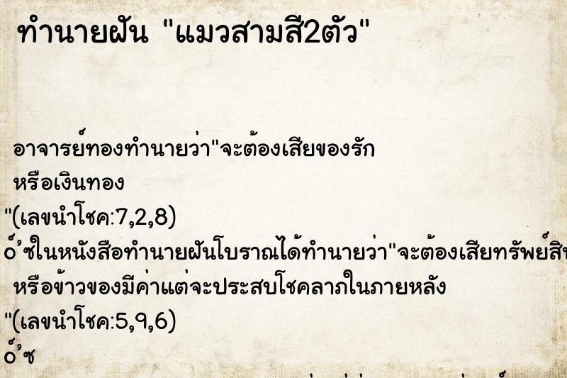 ทำนายฝัน แมวสามสี2ตัว