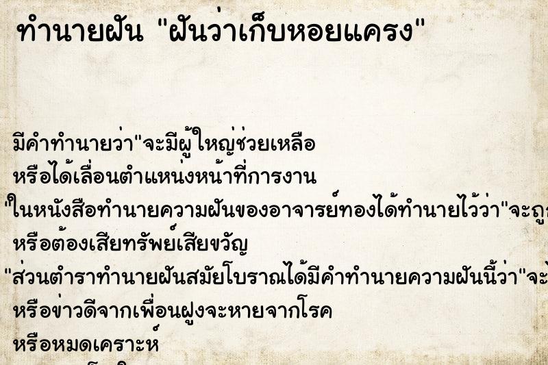 ทำนายฝัน ฝันว่าเก็บหอยแครง ทำนายฝัน ฝันว่าเก็บหอยแครง