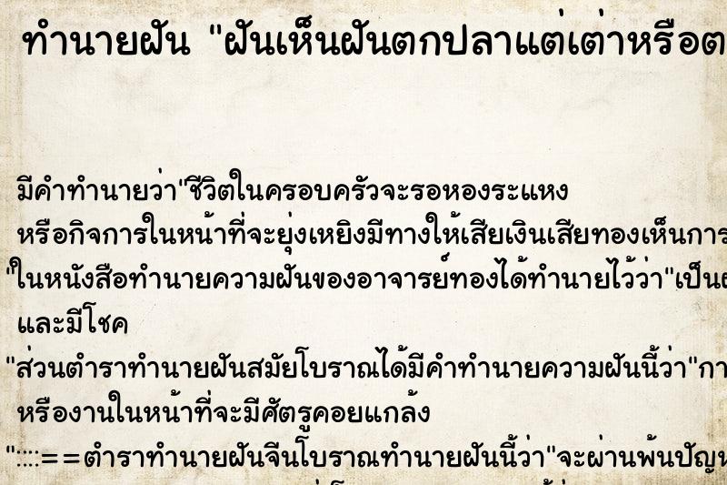 ทำนายฝันฝันเห็นฝันตกปลาแต่เต่าหรือตะพาบติดเบ็ด ทำนายฝันทำนายฝันฝันเห็นฝันตกปลาแต่เต่าหรือตะพาบติดเบ็ด