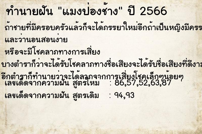 ทำนายฝัน แมงป่องช้าง ทำนายฝัน แมงป่องช้าง