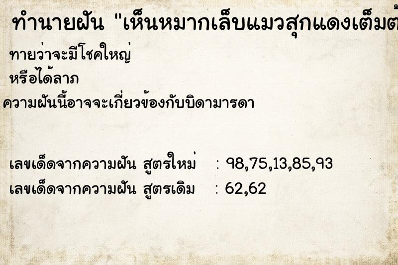 ทำนายฝันทำนายฝันเห็นหมากเล็บแมวสุกแดงเต็มต้น