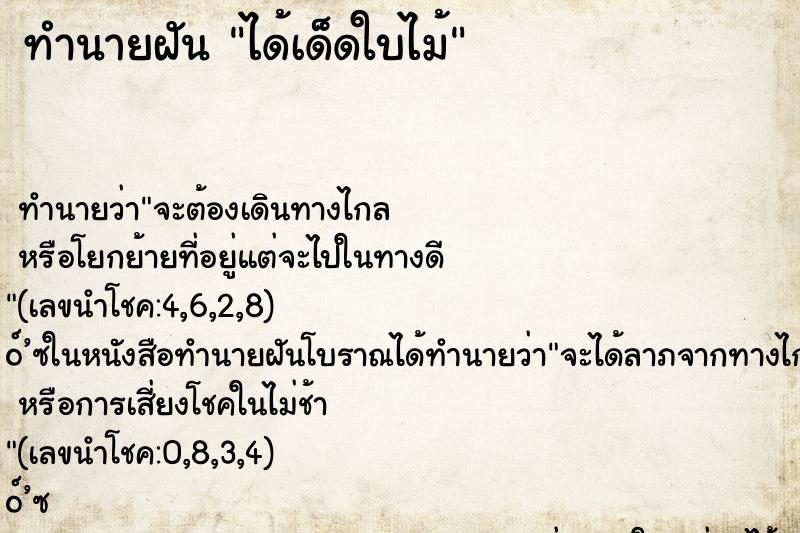 ทำนายฝันได้เด็ดใบไม้ ทำนายฝันทำนายฝันได้เด็ดใบไม้