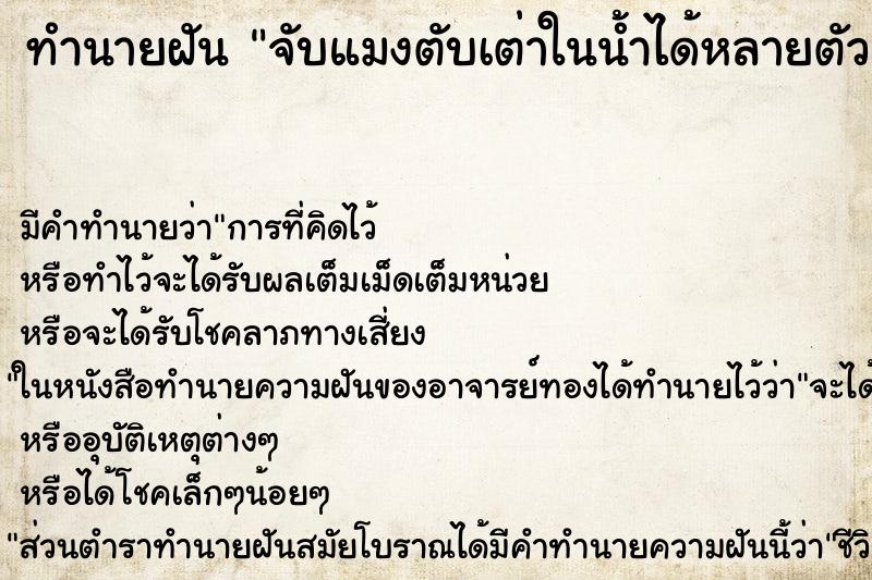ทำนายฝัน จับแมงตับเต่าในน้ำได้หลายตัว