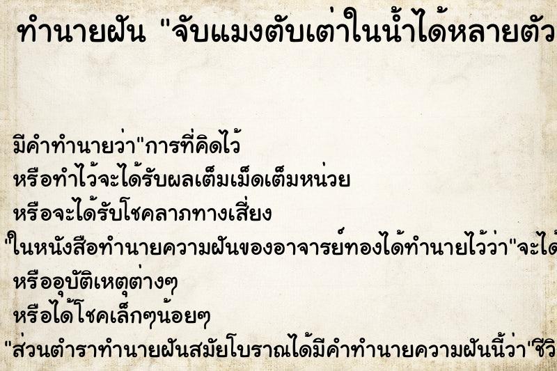 ทำนายฝัน จับแมงตับเต่าในน้ำได้หลายตัว ตำราโบราณ แม่นที่สุดในโลก