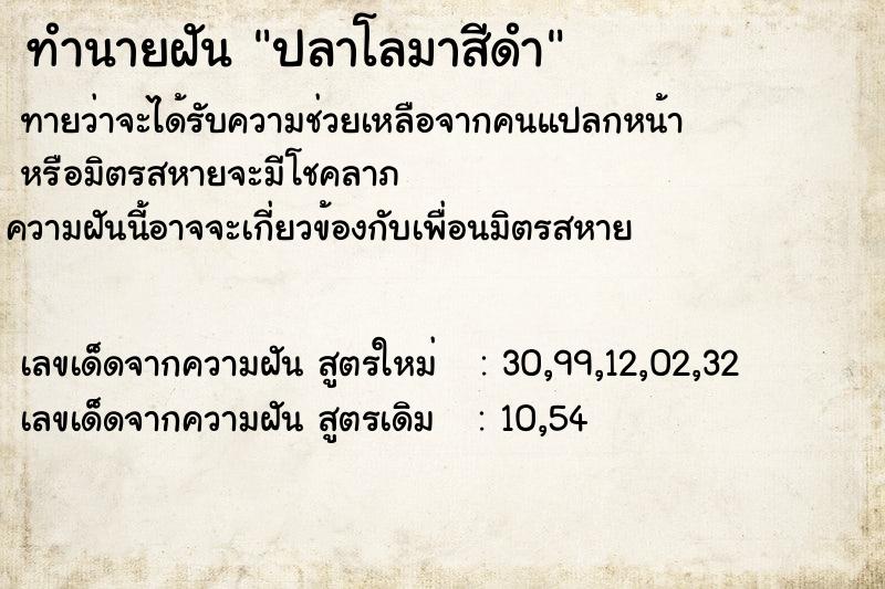 ทำนายฝัน ปลาโลมาสีดำ ตำราโบราณ แม่นที่สุดในโลก