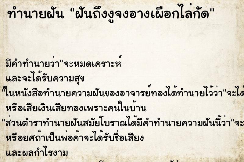 ทำนายฝันฝันถึงงูจงอางเผือกไล่กัด ทำนายฝันทำนายฝันฝันถึงงูจงอางเผือกไล่กัด