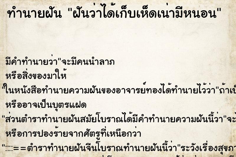 ทำนายฝัน ฝันว่าได้เก็บเห็ดเน่ามีหนอน ทำนายฝัน ฝันว่าได้เก็บเห็ดเน่ามีหนอน