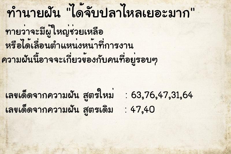 ทำนายฝันได้จับปลาไหลเยอะมาก ทำนายฝันทำนายฝันได้จับปลาไหลเยอะมาก