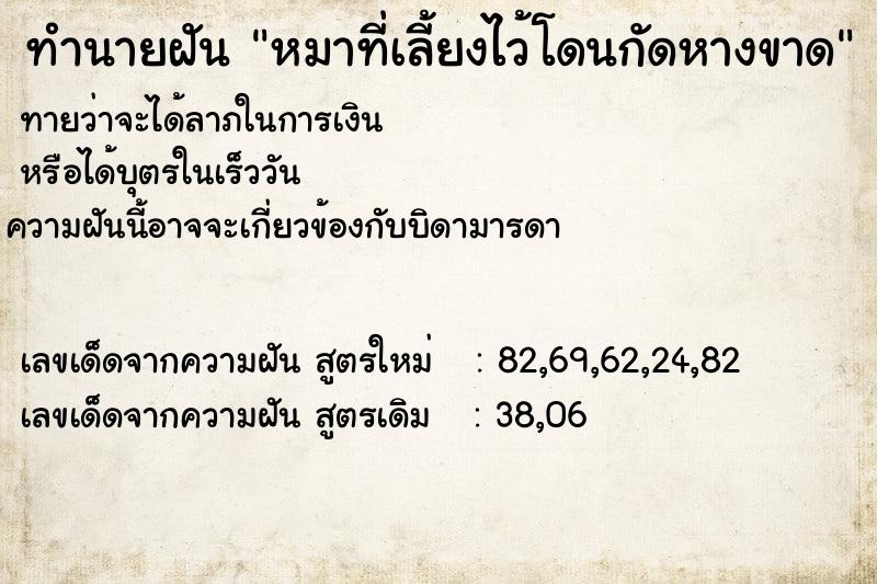 ทำนายฝัน หมาที่เลี้ยงไว้โดนกัดหางขาด ทำนายฝัน หมาที่เลี้ยงไว้โดนกัดหางขาด