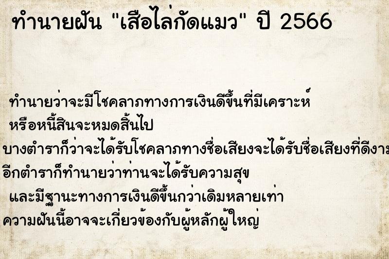 ทำนายฝันเสือไล่กัดแมว ทำนายฝันทำนายฝันเสือไล่กัดแมว