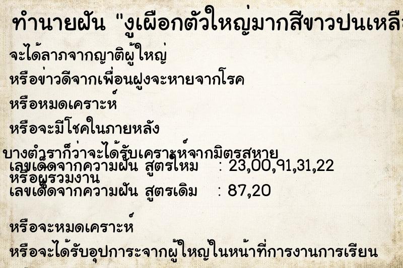 ทำนายฝันงูเผือกตัวใหญ่มากสีขาวปนเหลืองทองนวล ทำนายฝันทำนายฝันงูเผือกตัวใหญ่มากสีขาวปนเหลืองทองนวล