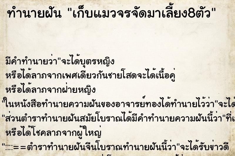 ทำนายฝันเก็บแมวจรจัดมาเลี้ยง8ตัว ทำนายฝันทำนายฝันเก็บแมวจรจัดมาเลี้ยง8ตัว