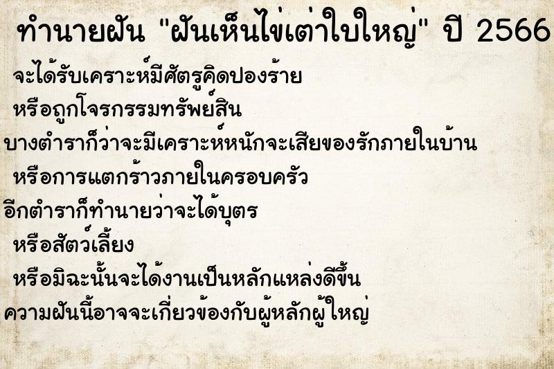 ทำนายฝันฝันเห็นไข่เต่าใบใหญ่ ทำนายฝันทำนายฝันฝันเห็นไข่เต่าใบใหญ่