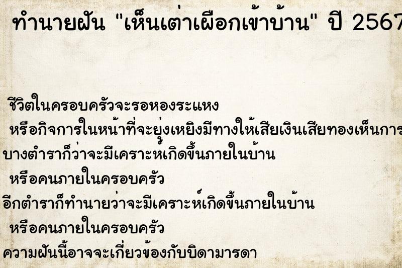 ทำนายฝันเห็นเต่าเผือกเข้าบ้าน ทำนายฝันทำนายฝันเห็นเต่าเผือกเข้าบ้าน