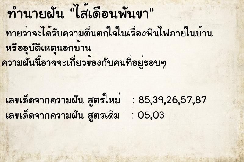ทำนายฝันไส้เดือนพันขา ทำนายฝันทำนายฝันไส้เดือนพันขา