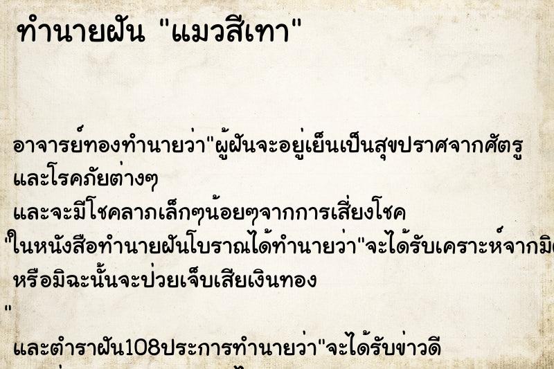 ทำนายฝัน แมวสีเทา ทำนายฝัน แมวสีเทา