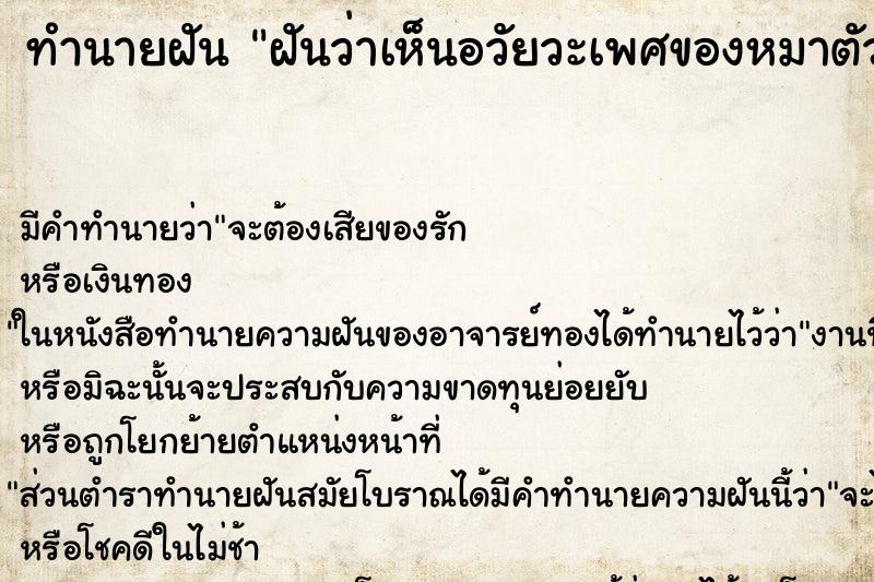 ทำนายฝัน ฝันว่าเห็นอวัยวะเพศของหมาตัวเมีย ทำนายฝัน ฝันว่าเห็นอวัยวะเพศของหมาตัวเมีย