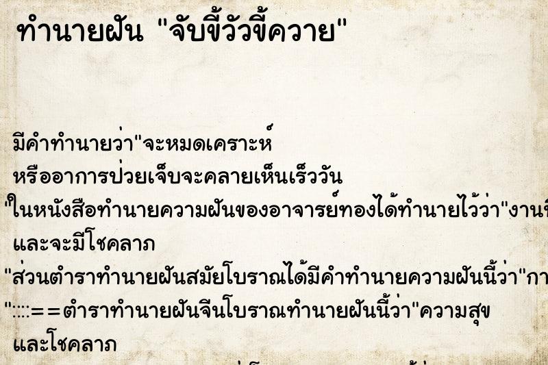 ทำนายฝัน จับขี้วัวขี้ควาย ทำนายฝัน จับขี้วัวขี้ควาย
