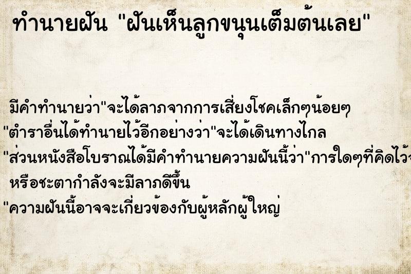 ทำนายฝันฝันเห็นลูกขนุนเต็มต้นเลย ทำนายฝันทำนายฝันฝันเห็นลูกขนุนเต็มต้นเลย