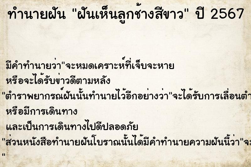 ทำนายฝันฝันเห็นลูกช้างสีขาว ทำนายฝันทำนายฝันฝันเห็นลูกช้างสีขาว