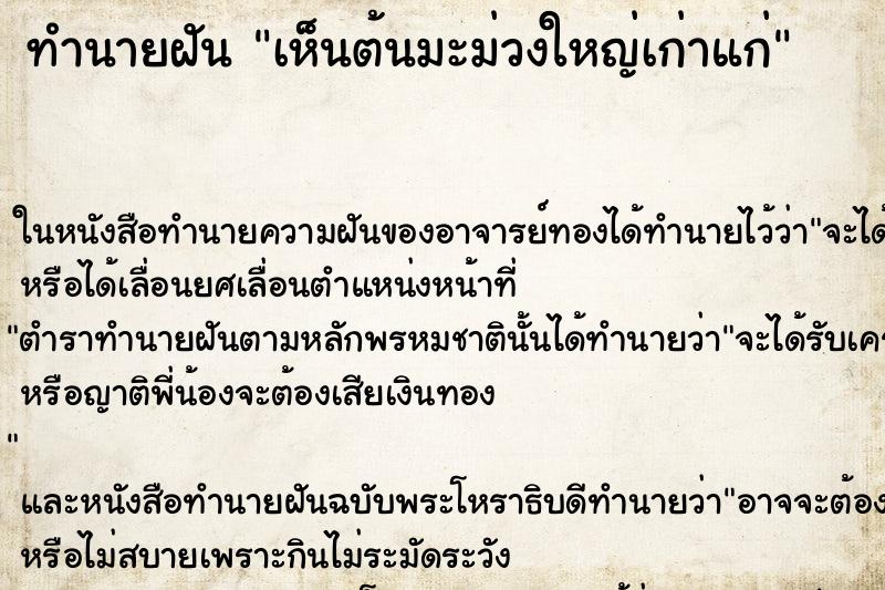 ทำนายฝันเห็นต้นมะม่วงใหญ่เก่าแก่ ทำนายฝันทำนายฝันเห็นต้นมะม่วงใหญ่เก่าแก่