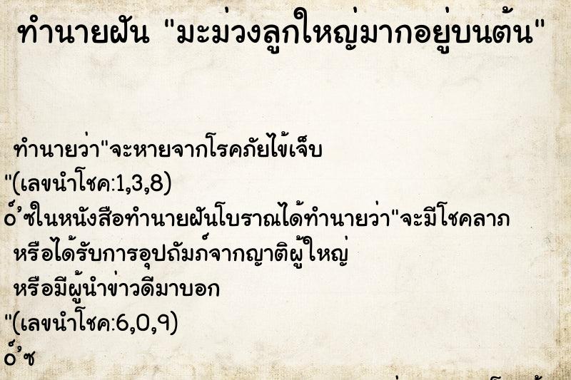 ทำนายฝัน มะม่วงลูกใหญ่มากอยู่บนต้น ตำราโบราณ แม่นที่สุดในโลก