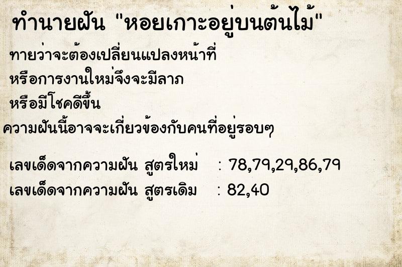 ทำนายฝัน หอยเกาะอยู่บนต้นไม้ ทำนายฝัน หอยเกาะอยู่บนต้นไม้