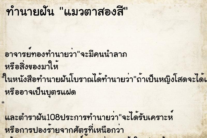 ทำนายฝัน แมวตาสองสี