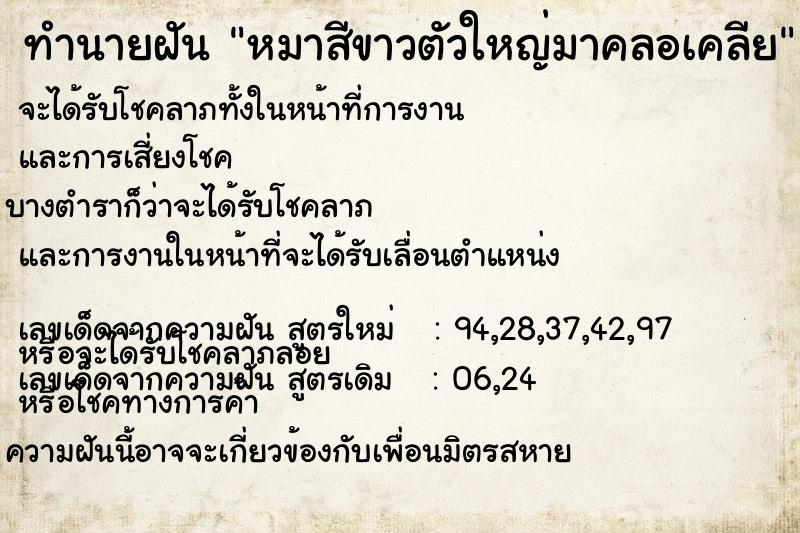 ทำนายฝัน หมาสีขาวตัวใหญ่มาคลอเคลีย ทำนายฝัน หมาสีขาวตัวใหญ่มาคลอเคลีย