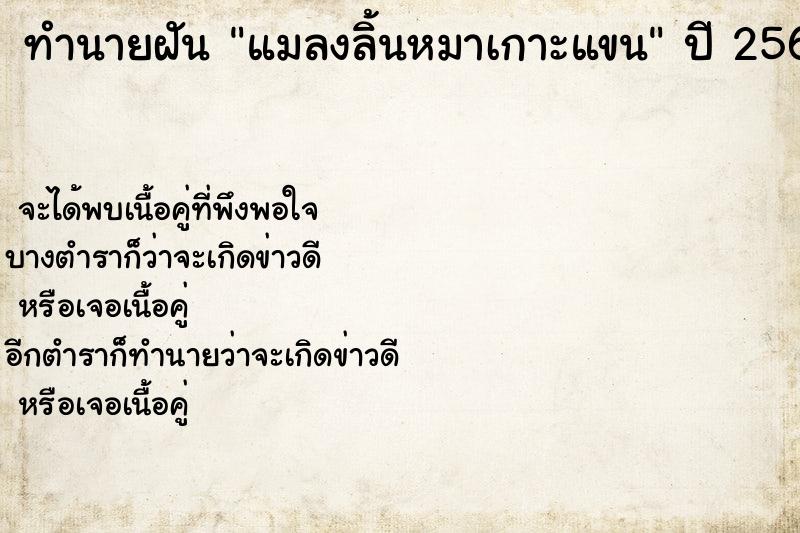 ทำนายฝันทำนายฝันแมลงลิ้นหมาเกาะแขน