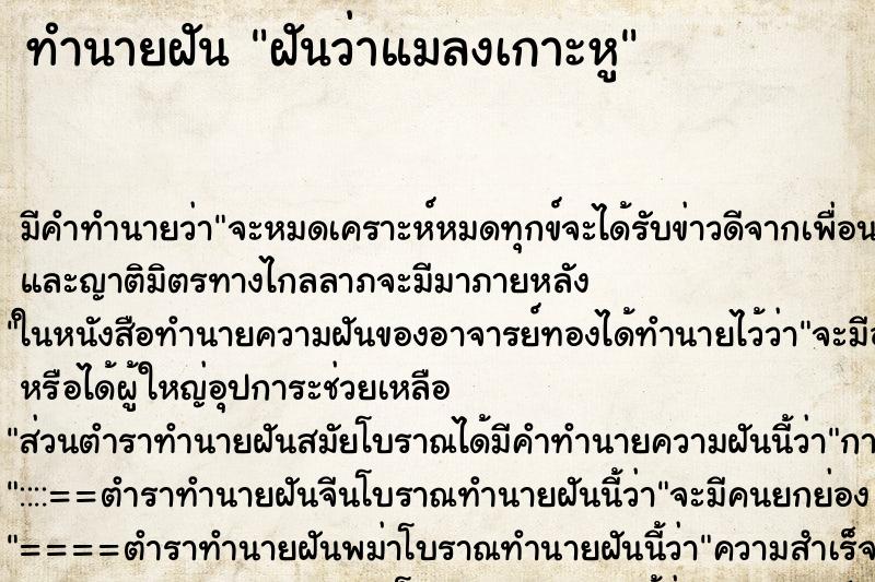 ทำนายฝันฝันว่าแมลงเกาะหู ทำนายฝันทำนายฝันฝันว่าแมลงเกาะหู