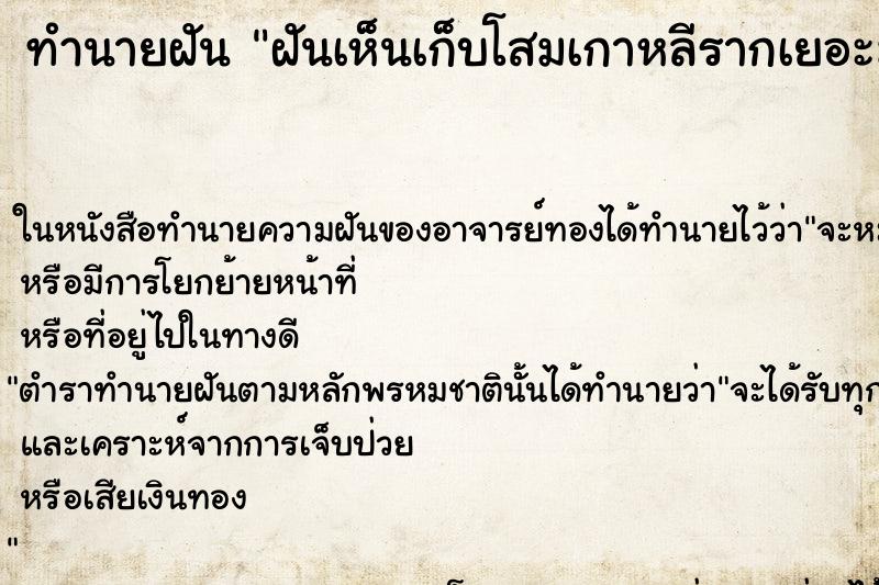 ทำนายฝันทำนายฝันฝันเห็นเก็บโสมเกาหลีรากเยอะมà