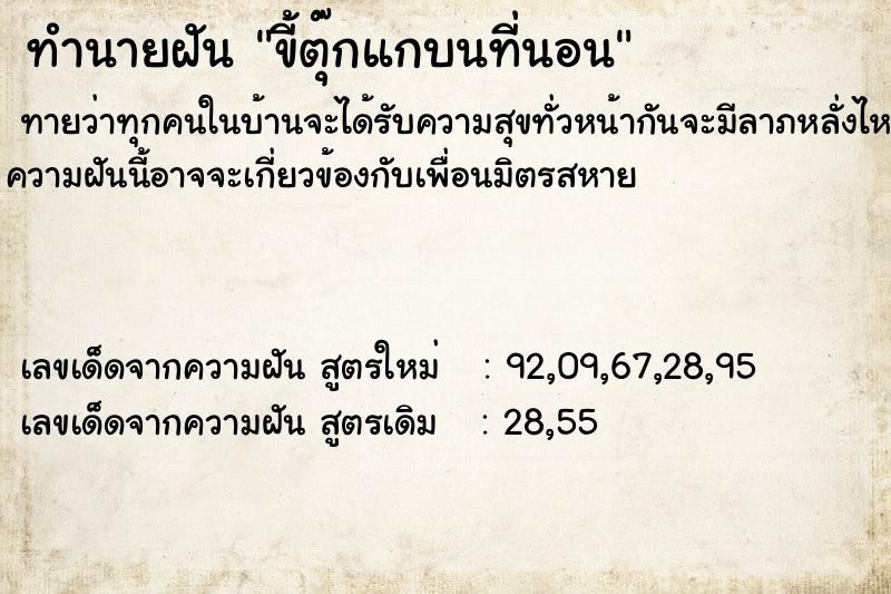 ทำนายฝัน ขี้ตุ๊กแกบนที่นอน ทำนายฝัน ขี้ตุ๊กแกบนที่นอน