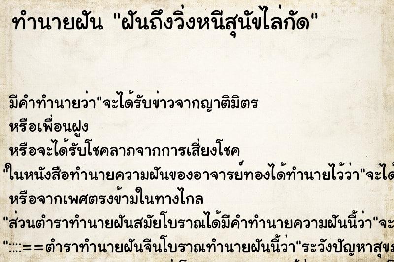 ทำนายฝันทำนายฝันฝันถึงวิ่งหนีสุนัขไล่กัด