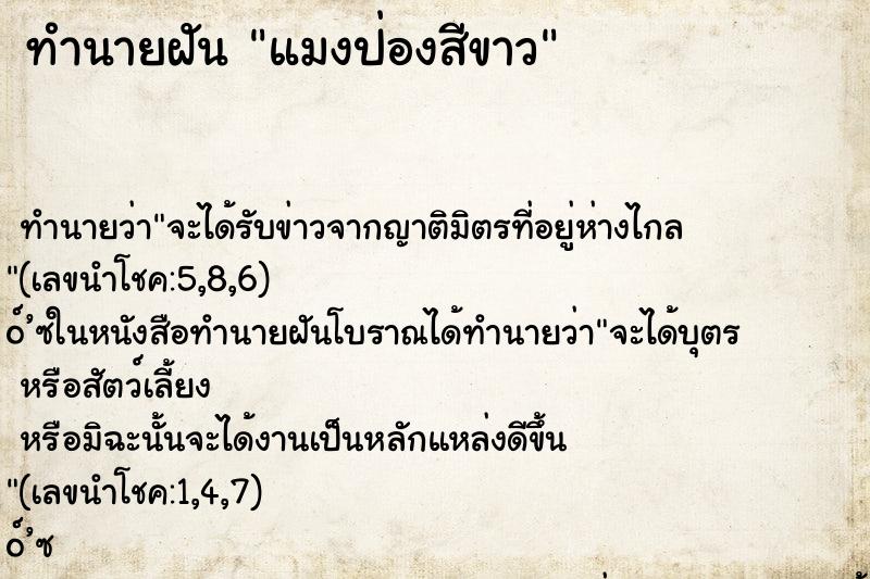 ทำนายฝัน แมงป่องสีขาว ทำนายฝัน แมงป่องสีขาว