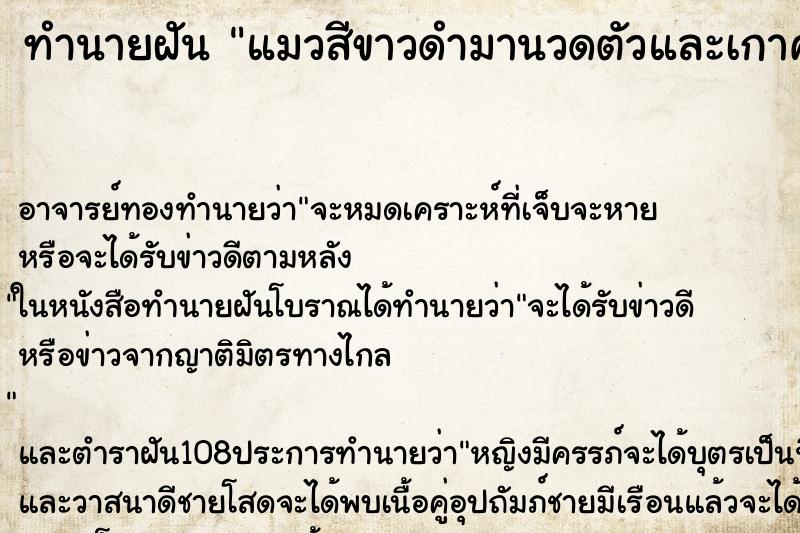 ทำนายฝัน แมวสีขาวดำมานวดตัวและเกาคอเรา ทำนายฝัน แมวสีขาวดำมานวดตัวและเกาคอเรา