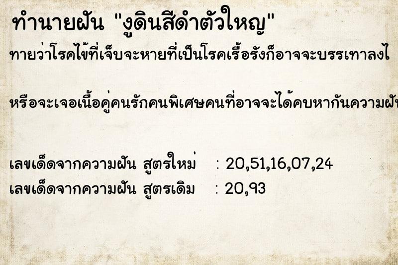 ทำนายฝัน งูดินสีดำตัวใหญ ทำนายฝัน งูดินสีดำตัวใหญ