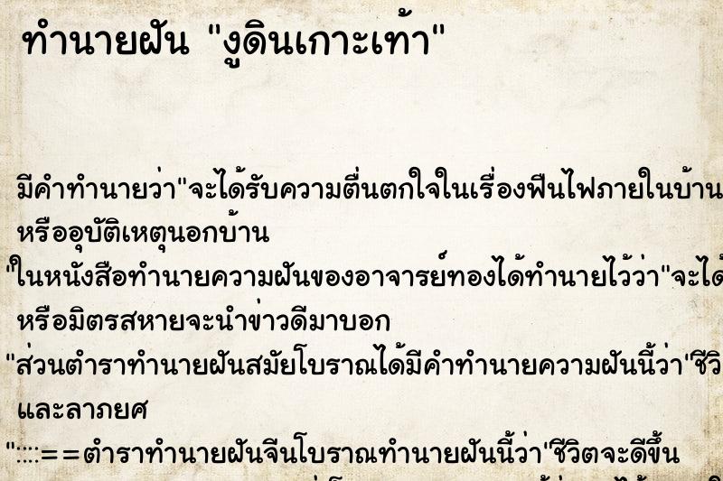 ทำนายฝันทำนายฝันงูดินเกาะเท้า