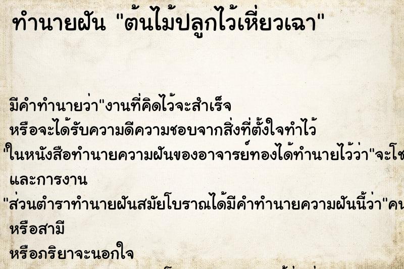 ทำนายฝันทำนายฝันต้นไม้ปลูกไว้เหี่ยวเฉา