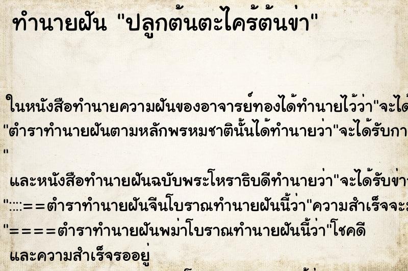 ทำนายฝันทำนายฝันปลูกต้นตะไคร้ต้นข่า