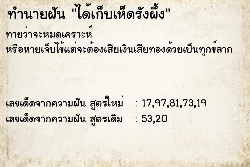 ทำนายฝัน ได้เก็บเห็ดรังผึ้ง ทำนายฝัน ได้เก็บเห็ดรังผึ้ง