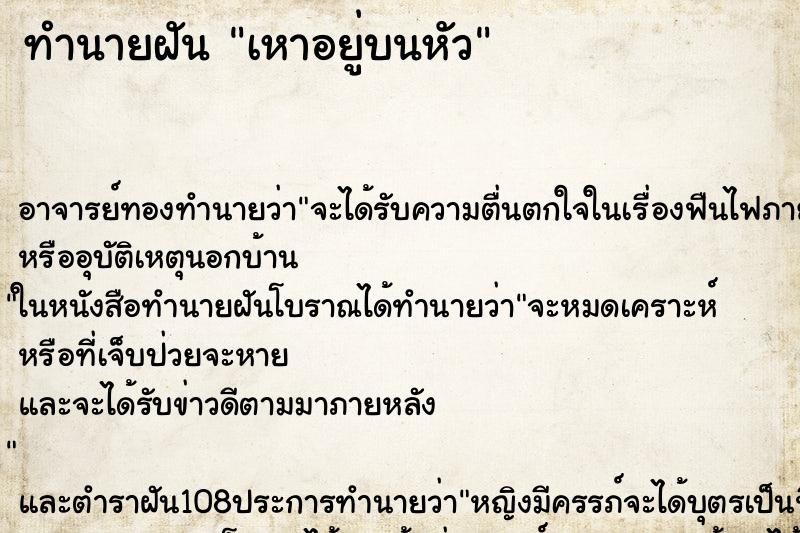 ทำนายฝัน เหาอยู่บนหัว ทำนายฝัน เหาอยู่บนหัว