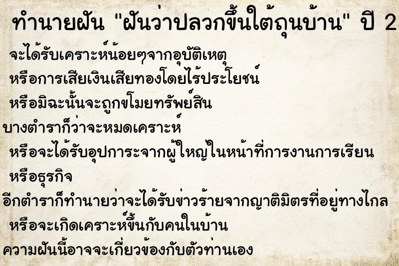 ทำนายฝันฝันว่าปลวกขึ้นใต้ถุนบ้าน ทำนายฝันทำนายฝันฝันว่าปลวกขึ้นใต้ถุนบ้าน