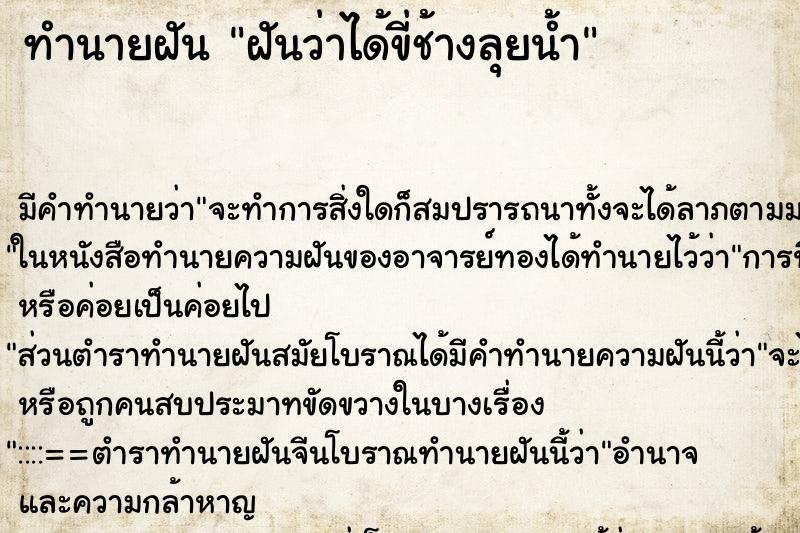 ทำนายฝันฝันว่าได้ขี่ช้างลุยน้ำ ทำนายฝันทำนายฝันฝันว่าได้ขี่ช้างลุยน้ำ