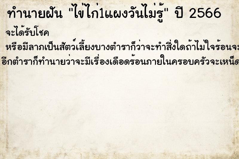 ทำนายฝันทำนายฝันไข่ไก่1แผงวันไม่รู้